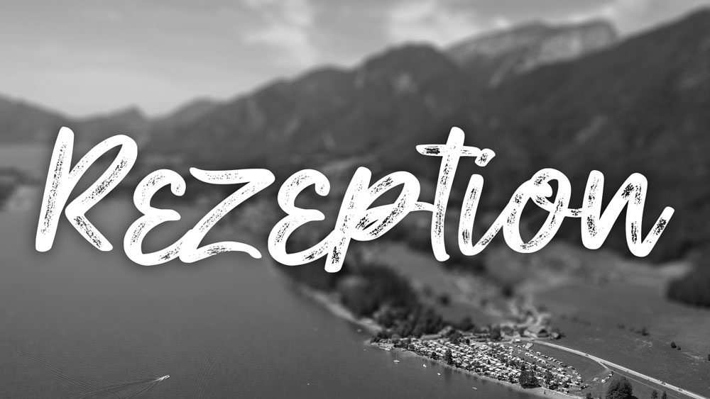 Rezeption (Besetzt)